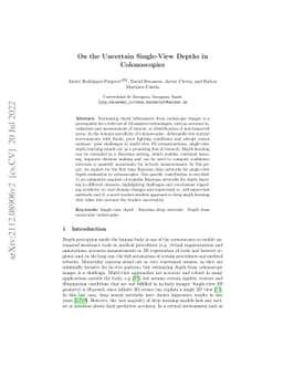 On the Uncertain Single-View Depths in Colonoscopies