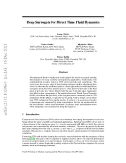 Deep Surrogate for Direct Time Fluid Dynamics