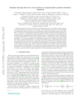 Machine learning discovery of new phases in programmable quantum
  simulator snapshots