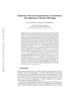 iSegFormer: Interactive Segmentation via Transformers with Application
  to 3D Knee MR Images