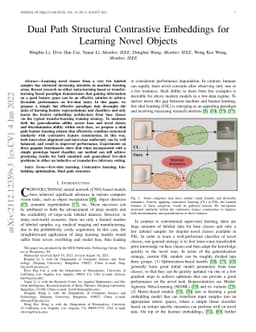 Dual Path Structural Contrastive Embeddings for Learning Novel Objects