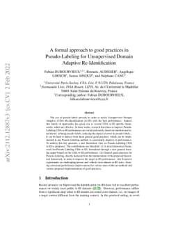 A formal approach to good practices in Pseudo-Labeling for Unsupervised
  Domain Adaptive Re-Identification