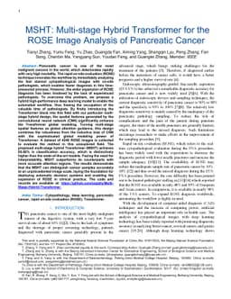 MSHT: Multi-stage Hybrid Transformer for the ROSE Image Analysis of
  Pancreatic Cancer