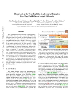 Closer Look at the Transferability of Adversarial Examples: How They
  Fool Different Models Differently