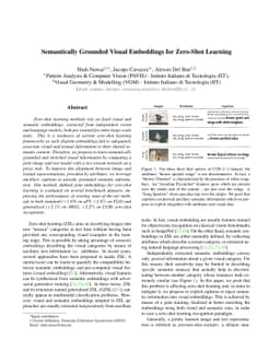 Semantically Grounded Visual Embeddings for Zero-Shot Learning