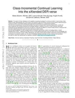 Class-Incremental Continual Learning into the eXtended DER-verse