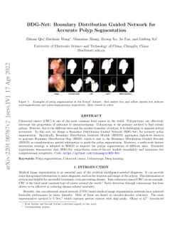 BDG-Net: Boundary Distribution Guided Network for Accurate Polyp
  Segmentation