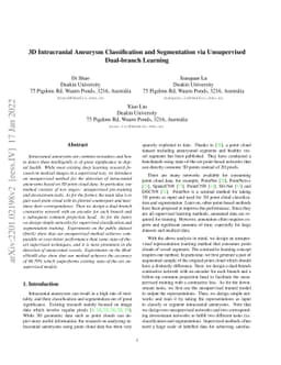 3D Intracranial Aneurysm Classification and Segmentation via
  Unsupervised Dual-branch Learning