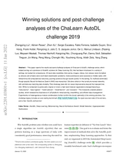 Winning solutions and post-challenge analyses of the ChaLearn AutoDL
  challenge 2019
