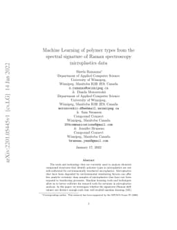 Machine Learning of polymer types from the spectral signature of Raman
  spectroscopy microplastics data