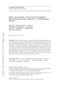 What Can Machine Vision Do for Lymphatic Histopathology Image Analysis:
  A Comprehensive Review