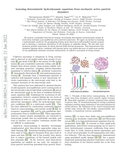 Learning deterministic hydrodynamic equations from stochastic active
  particle dynamics