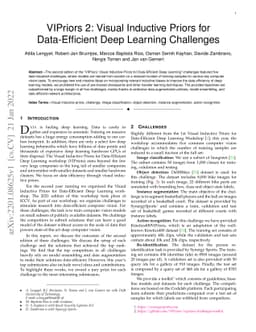 VIPriors 2: Visual Inductive Priors for Data-Efficient Deep Learning
  Challenges