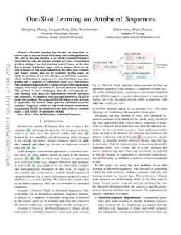 One-Shot Learning on Attributed Sequences
