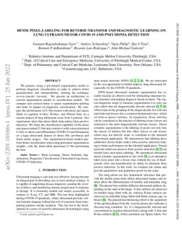 Dense Pixel-Labeling for Reverse-Transfer and Diagnostic Learning on
  Lung Ultrasound for COVID-19 and Pneumonia Detection