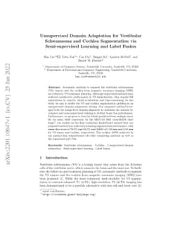 Unsupervised Domain Adaptation for Vestibular Schwannoma and Cochlea
  Segmentation via Semi-supervised Learning and Label Fusion