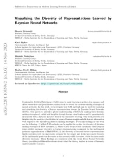 Visualizing the Diversity of Representations Learned by Bayesian Neural
  Networks