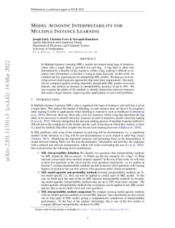 Model Agnostic Interpretability for Multiple Instance Learning