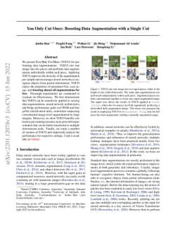 You Only Cut Once: Boosting Data Augmentation with a Single Cut