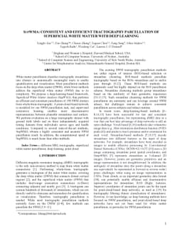 SupWMA: Consistent and Efficient Tractography Parcellation of
  Superficial White Matter with Deep Learning