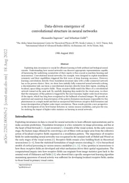 Data-driven emergence of convolutional structure in neural networks