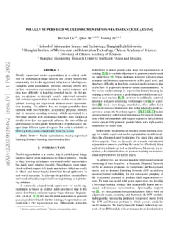 Weakly Supervised Nuclei Segmentation via Instance Learning