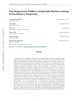 The Disagreement Problem in Explainable Machine Learning: A Practitioner's Perspective