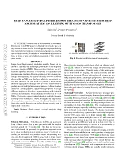 Brain Cancer Survival Prediction on Treatment-na ive MRI using Deep
  Anchor Attention Learning with Vision Transformer