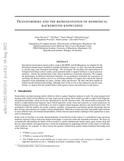 Transformers and the representation of biomedical background knowledge