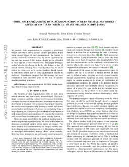 SODA: Self-organizing data augmentation in deep neural networks --
  Application to biomedical image segmentation tasks