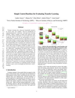 Simple Control Baselines for Evaluating Transfer Learning