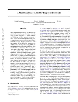 A Mini-Block Fisher Method for Deep Neural Networks