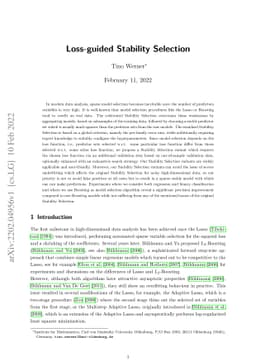 Loss-guided Stability Selection