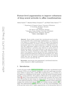 Feature-level augmentation to improve robustness of deep neural networks
  to affine transformations