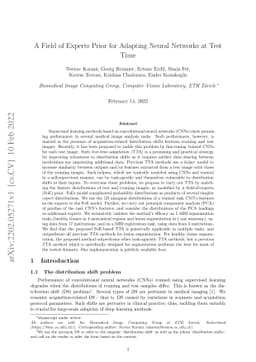 A Field of Experts Prior for Adapting Neural Networks at Test Time