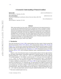A Geometric Understanding of Natural Gradient