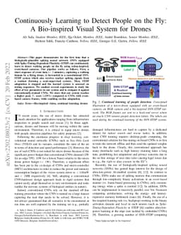 Continuously Learning to Detect People on the Fly: A Bio-inspired Visual
  System for Drones