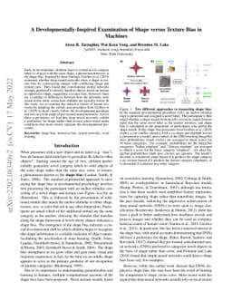 A Developmentally-Inspired Examination of Shape versus Texture Bias in
  Machines