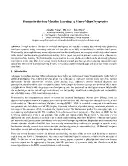 Human-in-the-loop Machine Learning: A Macro-Micro Perspective