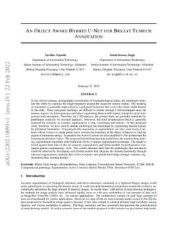 An Object Aware Hybrid U-Net for Breast Tumour Annotation