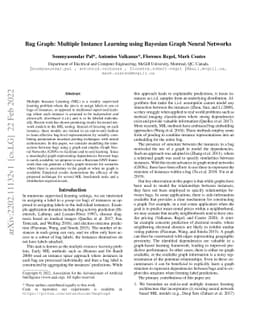 Bag Graph: Multiple Instance Learning using Bayesian Graph Neural
  Networks