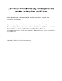 A novel unsupervised covid lung lesion segmentation based on the lung
  tissue identification