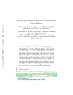 Evaluating Feature Attribution Methods in the Image Domain