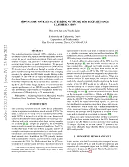 Monogenic Wavelet Scattering Network for Texture Image Classification