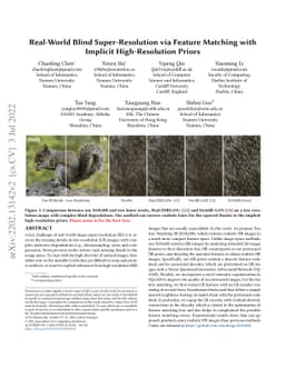Real-World Blind Super-Resolution via Feature Matching with Implicit
  High-Resolution Priors