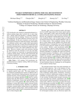 Weakly Supervised Learning for cell recognition in immunohistochemical
  cytoplasm staining images