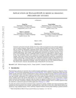 Application of DatasetGAN in medical imaging: preliminary studies