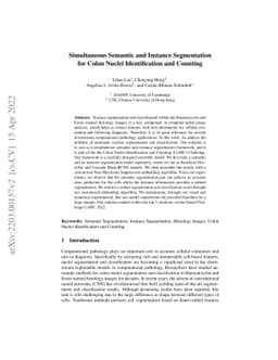 Simultaneous Semantic and Instance Segmentation for Colon Nuclei
  Identification and Counting