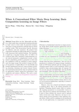 When A Conventional Filter Meets Deep Learning: Basis Composition
  Learning on Image Filters