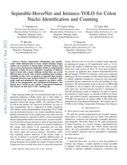 Separable-HoverNet and Instance-YOLO for Colon Nuclei Identification and
  Counting
